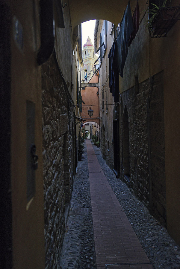 Cervo3.jpg