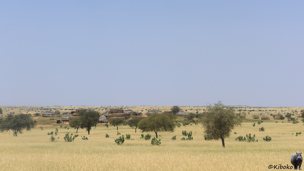 Das Bild zeigt ein Dorf aus strohgedeckten Rundhütten in einer weitläufigen Savannenlandschaft aus trockenem Gras und einzelnen Bäumen.