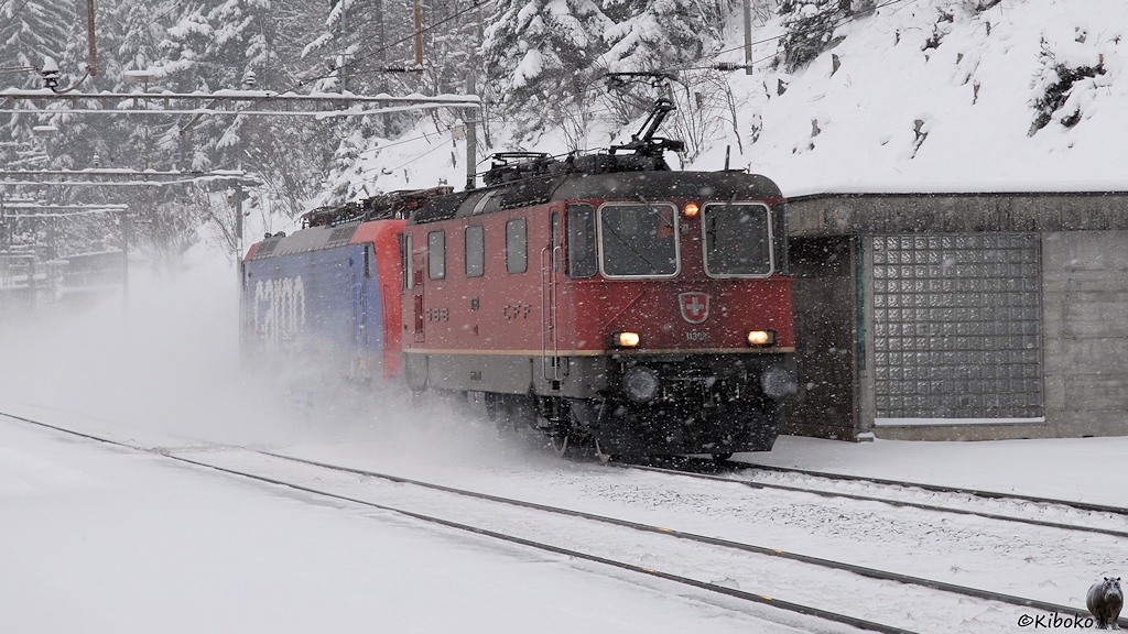 Das Bild zeigt eine rote Elektrolok die eine rot-blaue Elektrolok durch einen Bahnhof schleppt.