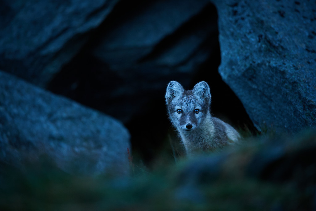 DSC_6524-XL.jpg