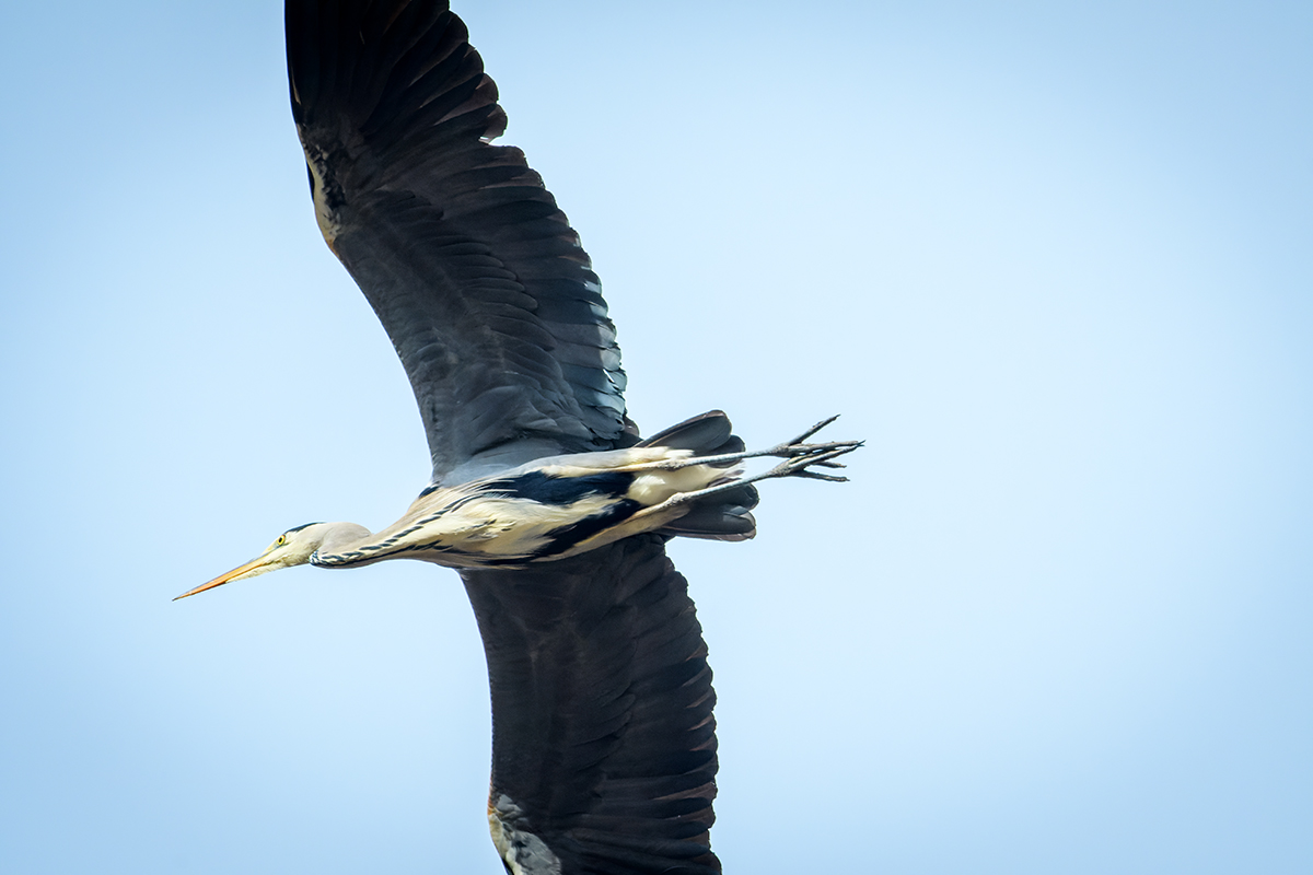 20220107_D500_0495_DxONF.jpg