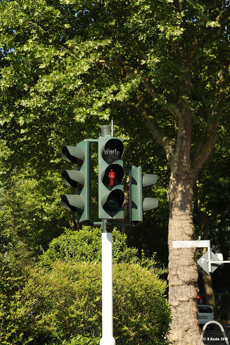 cK.R.-540DSC_1695.jpg