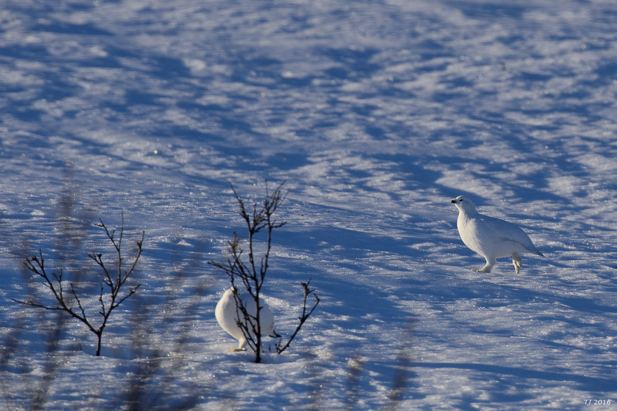 DSC_2804.jpg