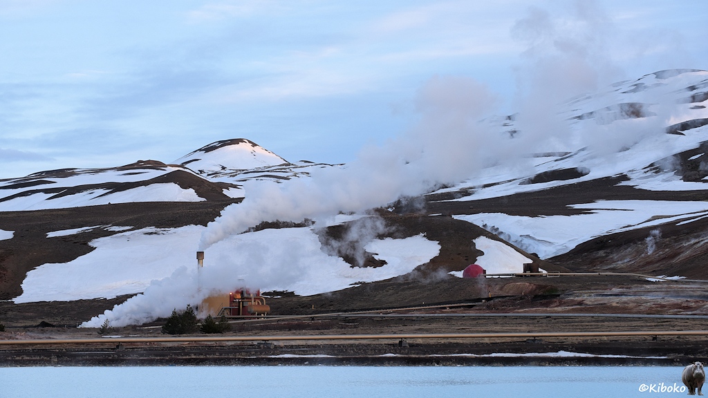 An einem Berghang mit Schneeflecken und gelbbrauner Wiesenflächen steigt an vielen Stellen weißer Dampf auf. Rund um die Austrittsöffnungen ist kein Schnee. Zu einigen dieser Stellen verlaufen Rohrleitungen. Die Rohre laufen zu einem Industriegebäude mit silbernen Schornstein. Aus dem Schornstein steigt eine große weiße Dampffahne auf.