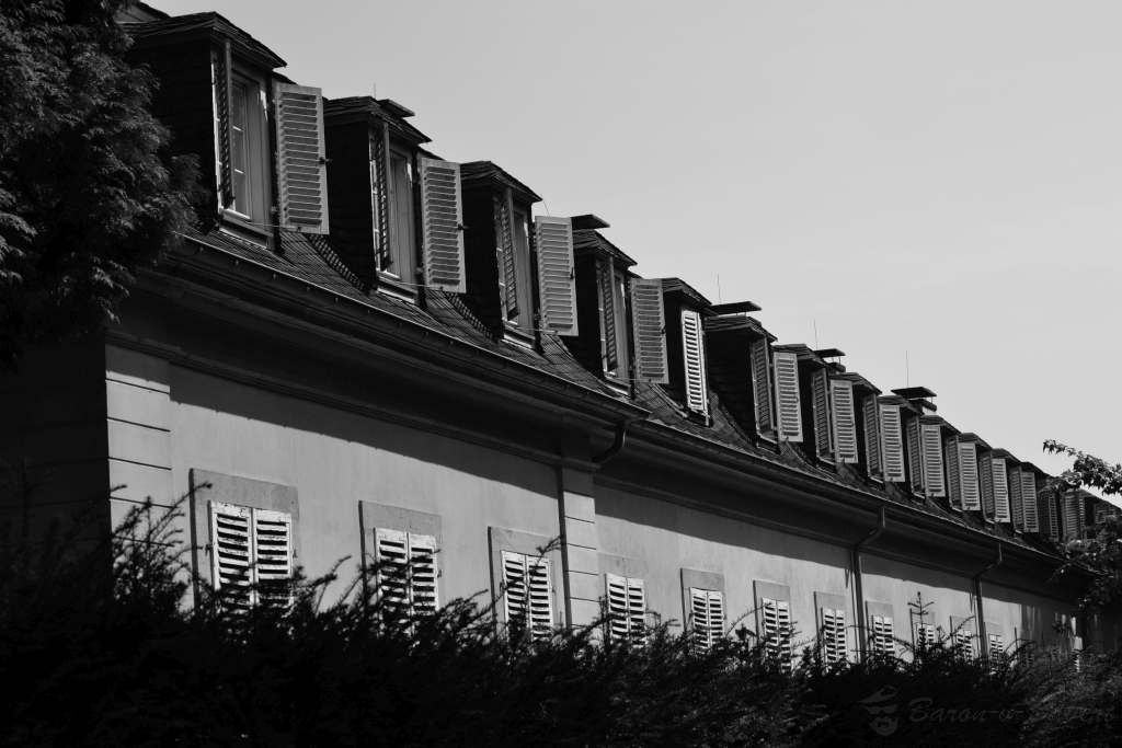 15012521856_86cee7ae00_b.jpg