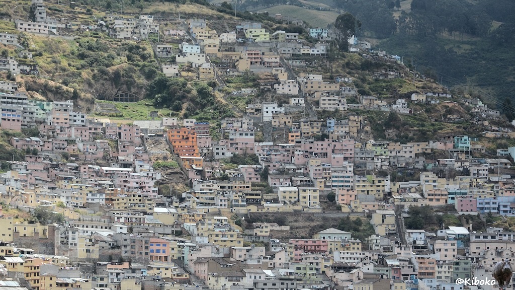 Das Bild zeigt den Blick auf einen bebauten Berghang. Kleine zwei und dreistöckige Häuser dominieren das Bild. Nach oben wird die Bebauung lockerer. Straßen führen quer zum Hang.