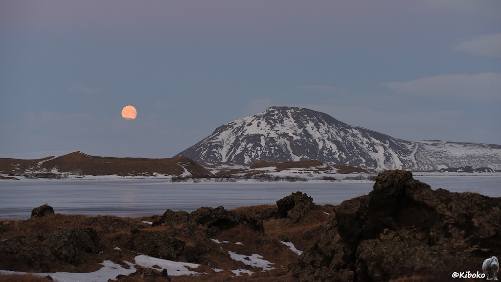 Über einem vereisten See geht neben einem verschneiten Berg der Vollmond unter. Im Vordergrund sind Formationen aus kleinen Lavafelsen.