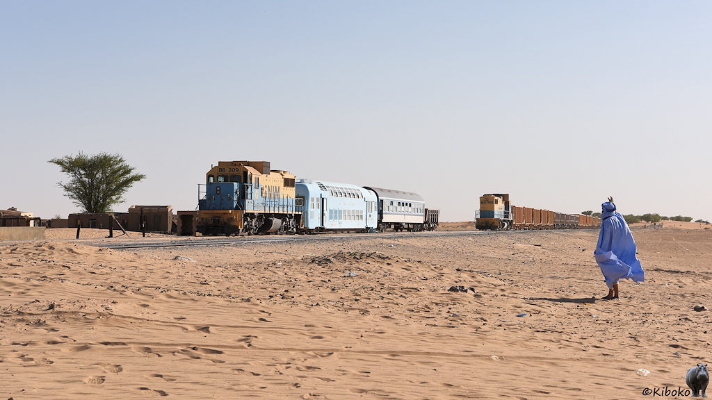 Das Bild zeigt eine beige-hellblaue Diesellok mit drei Wagen. Im Hintergrund nähert sich eine weitere beige-hellblaue Diesellok mit langen Vorbau voraus. Sie zieht eine Reihe gelber Schotterwagen. Am rechten Bildrand steht ein winkender Mann im hellblauen Gewandt.