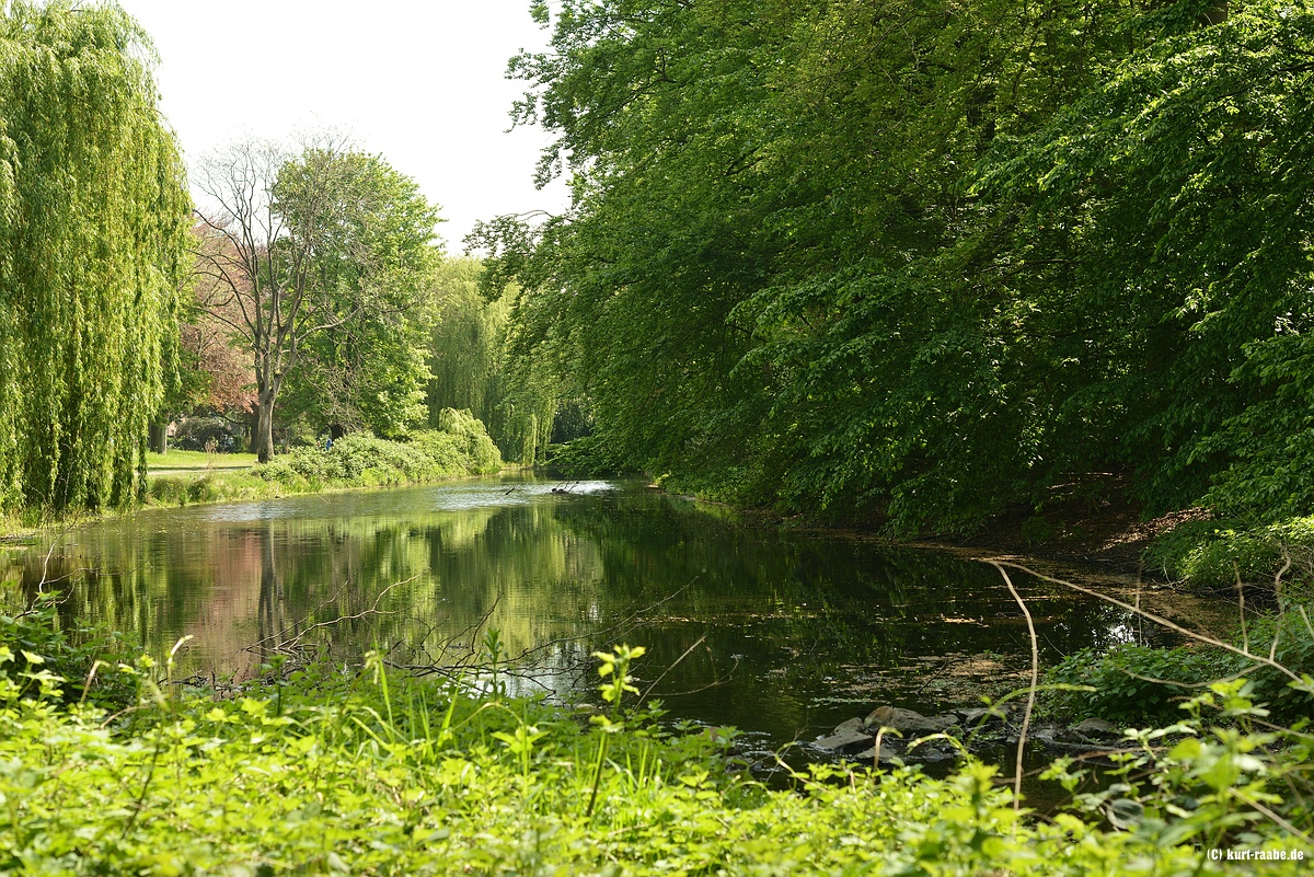 cK.R._KR8_3911.jpg