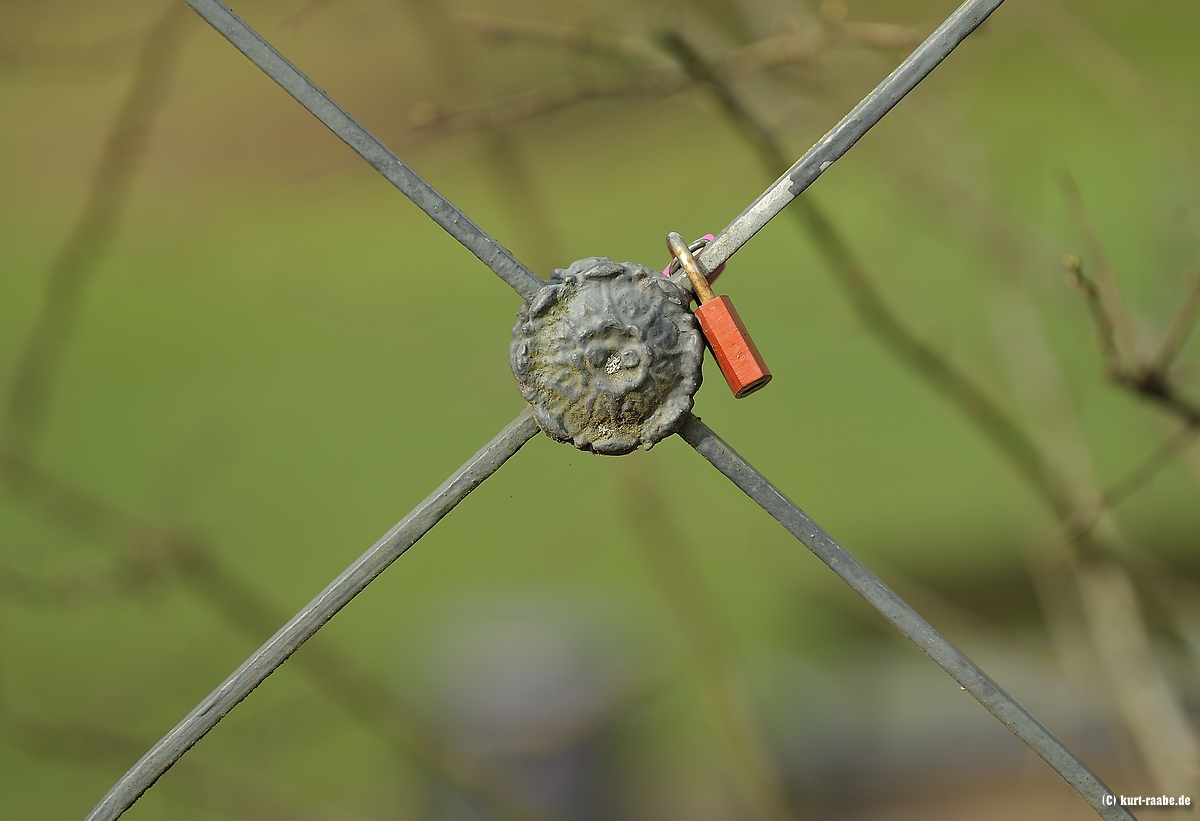 cK.R.-850aKR3_6630.jpg