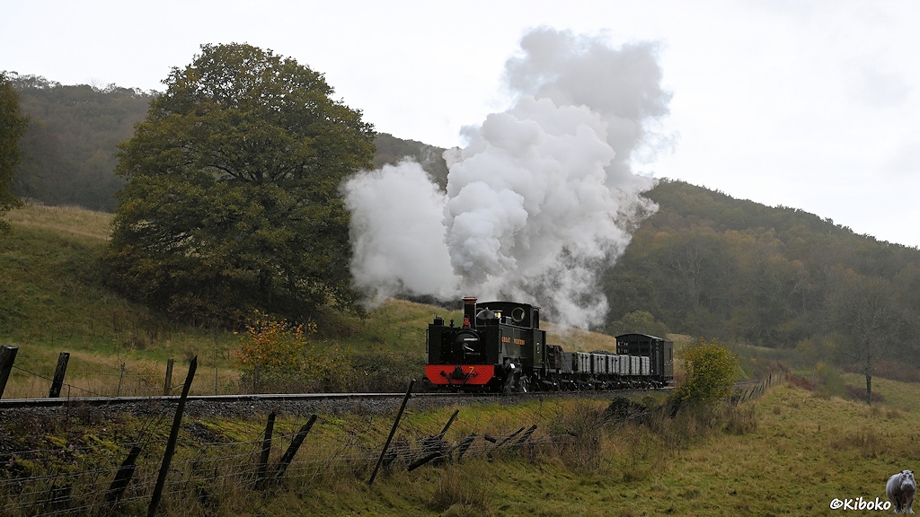 Das Bild zeigt einen Güterzug mit 6 grauen offenen Wagen und zwei dunklen geschlossenen Wagen mit einer grünen Dampflok an einem Hang schräg von vorn unten. An der Strecke ist ein maroder Drahtzaun. Im Hintergrund sind Laubbäume.
