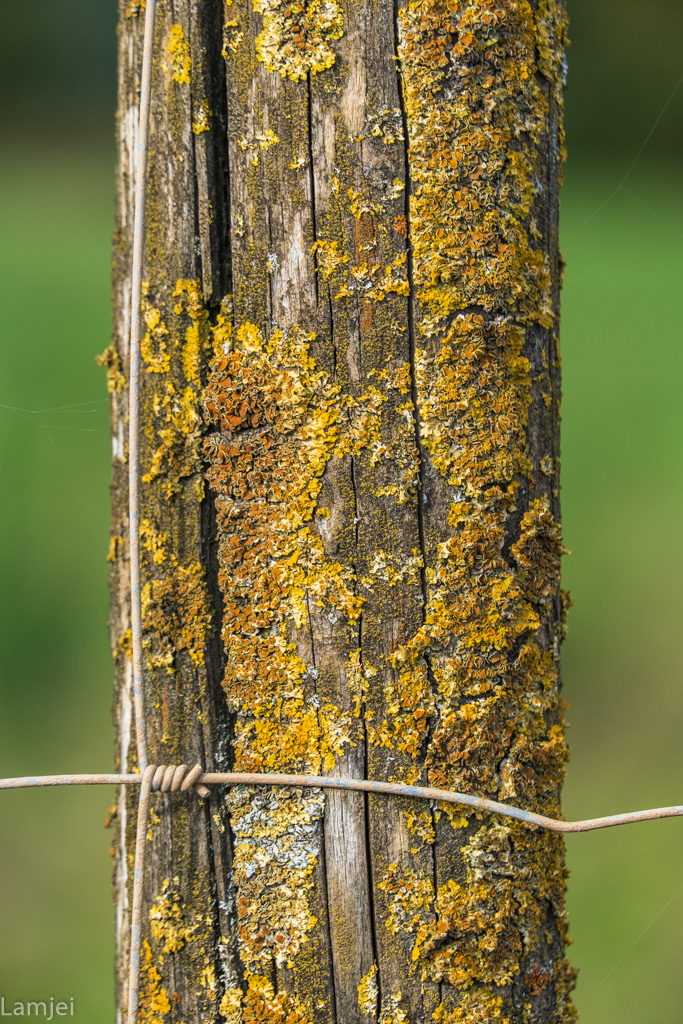 XT-20_174-2.jpg