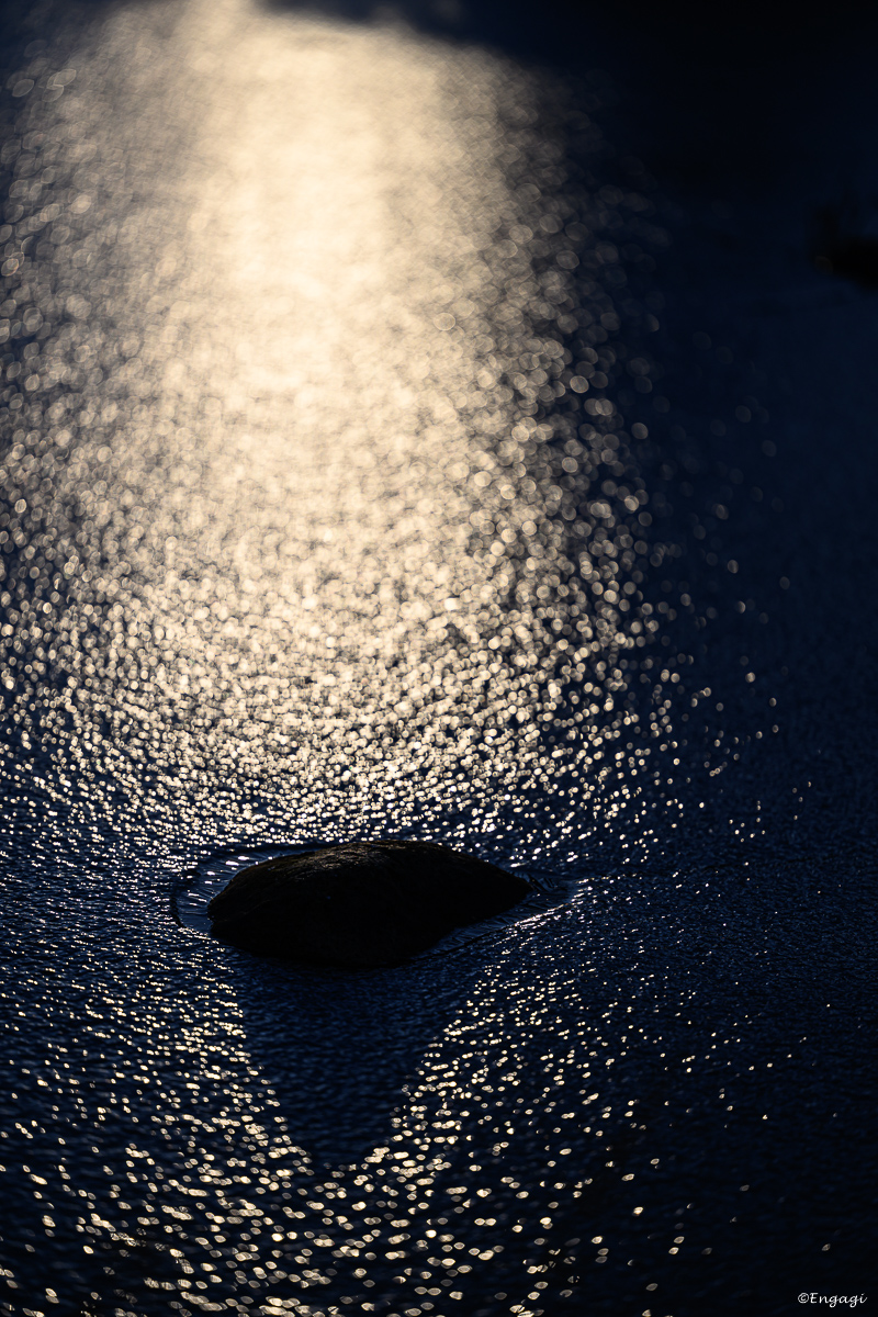 DSC_0080.jpg