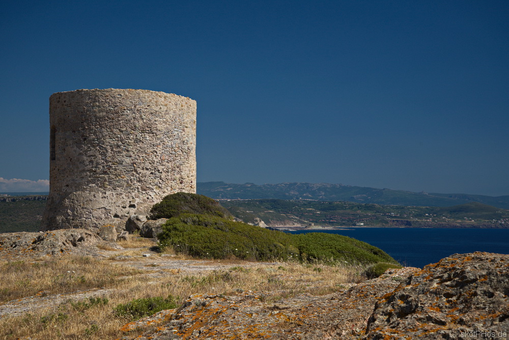 skotPHos.de_Sardinien2015_046.JPG