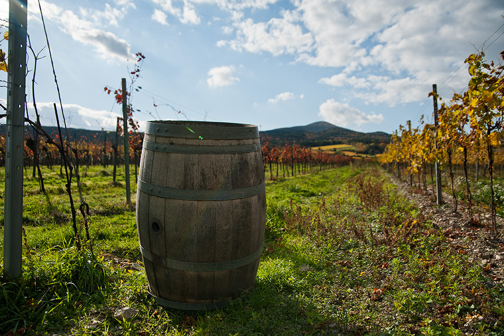 sooß-herbstwolken-32.jpg