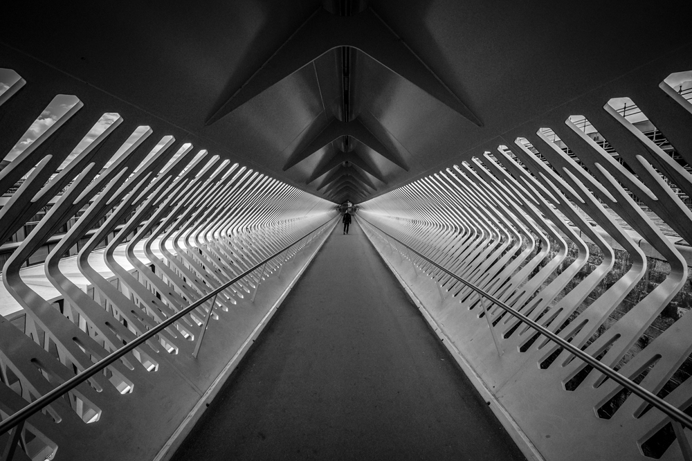 47871776by.jpg