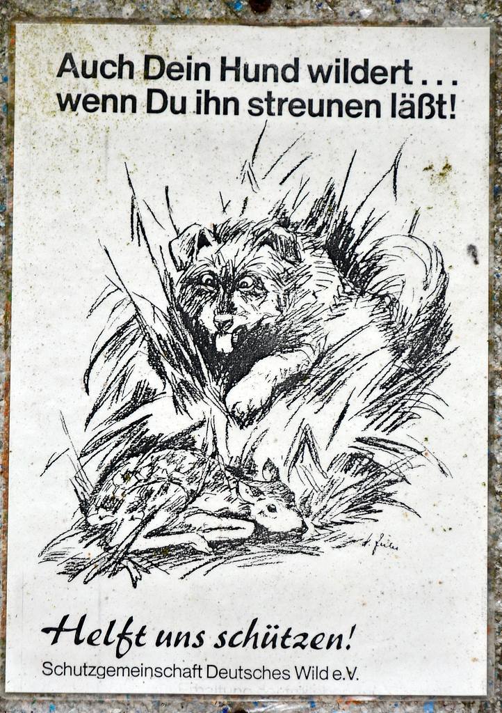 Streuner.jpg