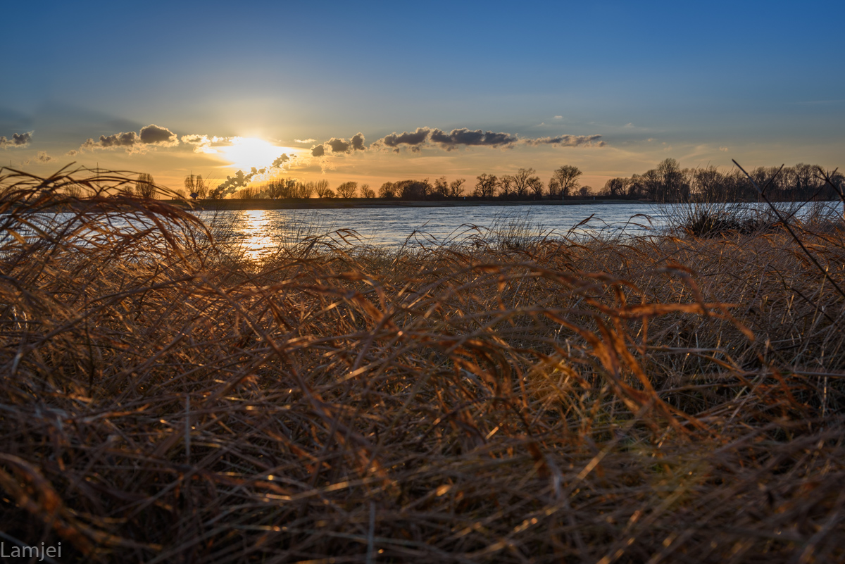 DSC_2309.jpg