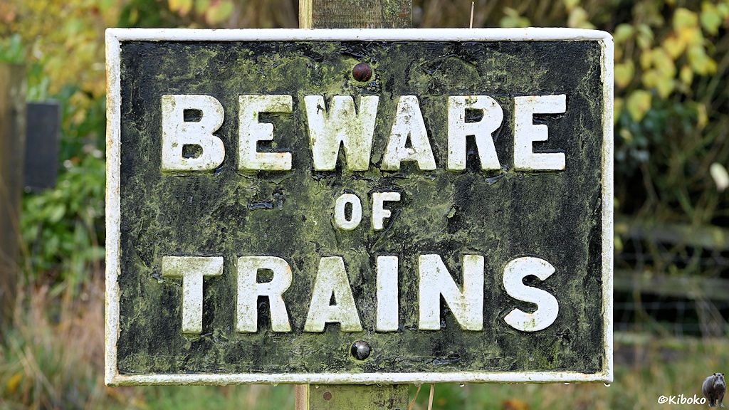 Das Bild zeigt ein rechteckiges, schwarzes Metallschild mit weißem Rahmen. In weißer Schrift steht darauf BEWARE of TRAINS. Das Schild ist grünlich verdreckt.