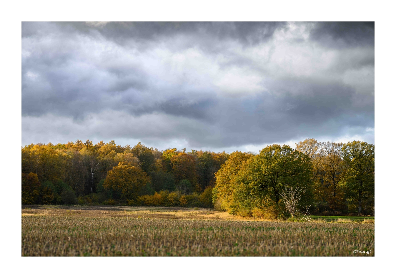 DSC_5420.jpg