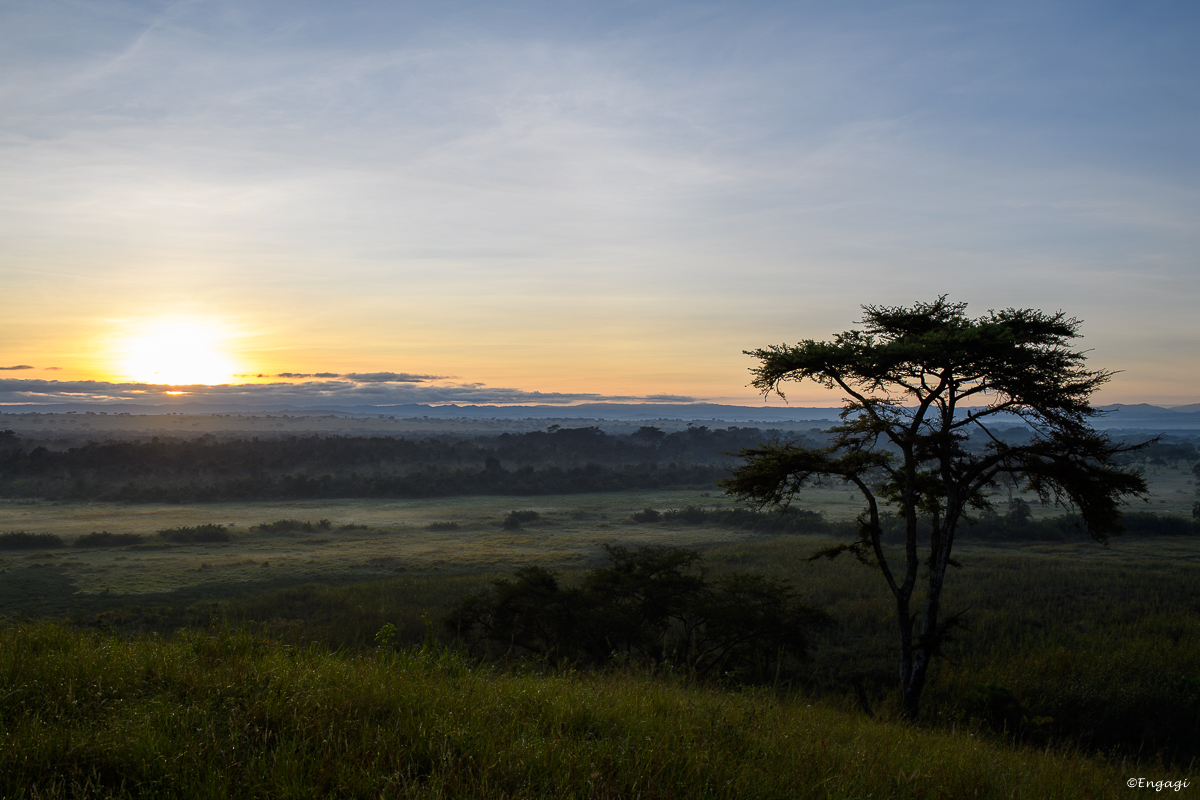 Uganda%201671.jpg