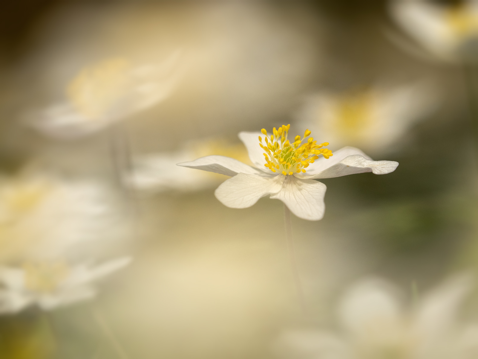 P4120100.jpg