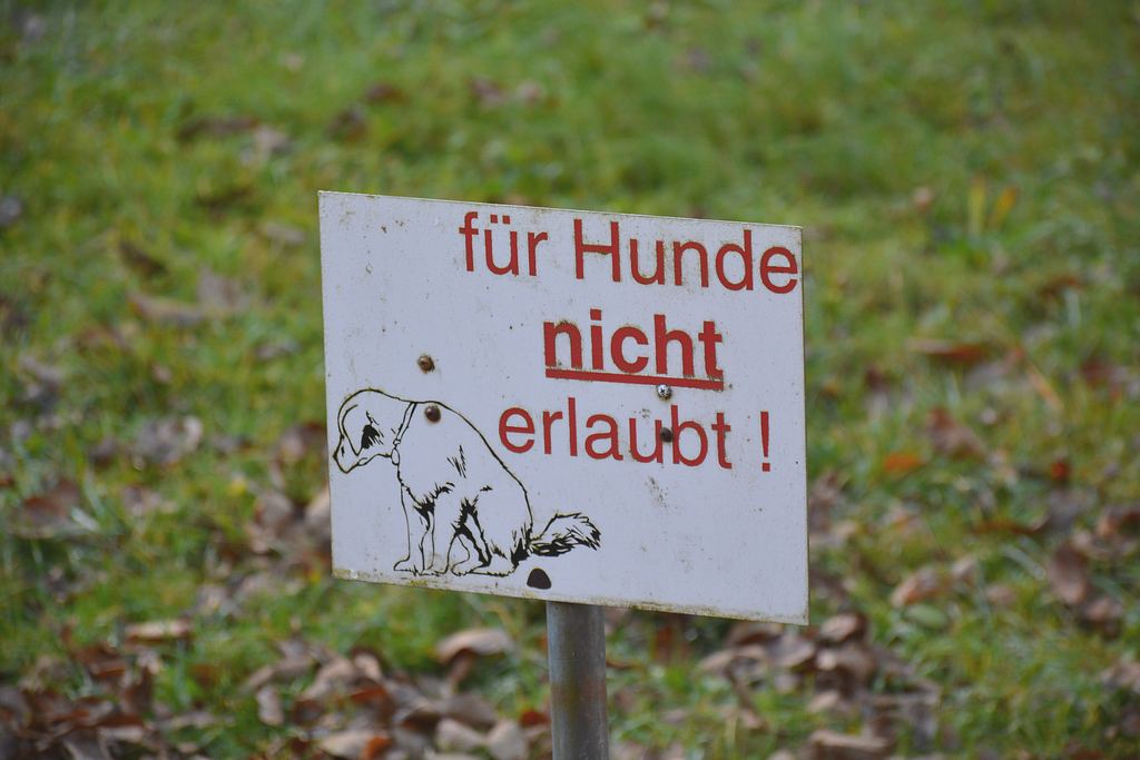 hundenichterlaubt.jpg