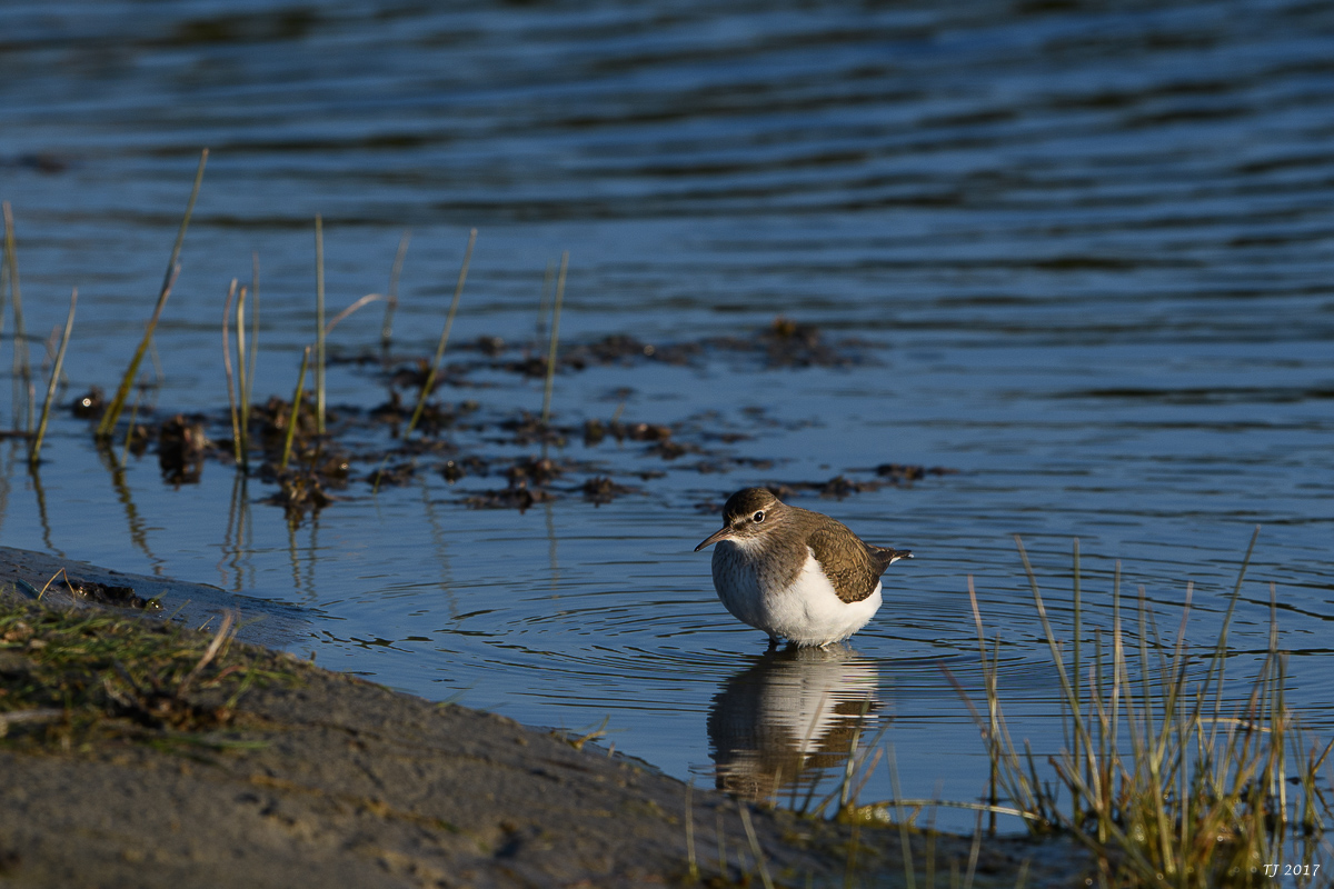Katinger%20Watt-197.jpg