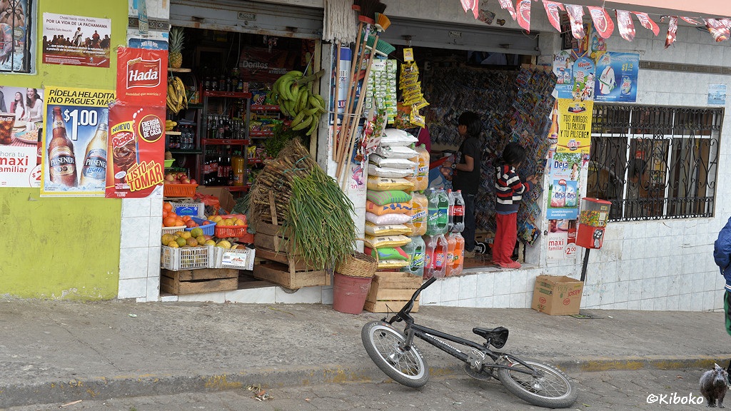 Das Bild zeigt einen garagengroßen Supermarkt mit zwei Türen. An der linken Tür liegen Obst und Gemüse. An der rechten Wand sind Zeitschriften. Davor stehen zwei Kinder. Im Hintergrund sind Kühlschränke mit Getränken. Links neben dem Geschäft steht ein roter Kaugummiautomat. Vor dem Geschäft liegt auf dem Bordstein ein schwarzes Kinderfahrrad.