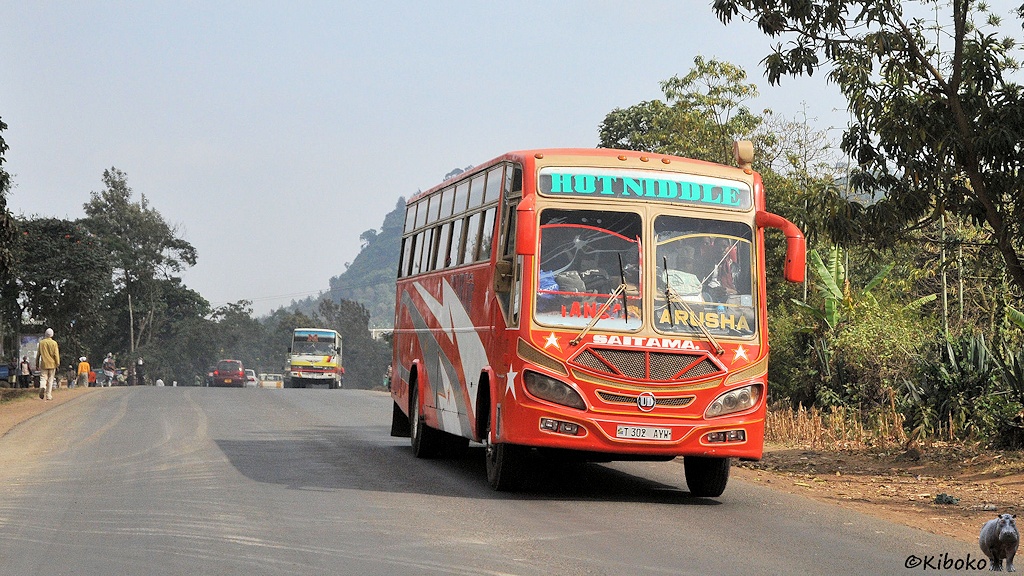 bei Arusha, Tansania