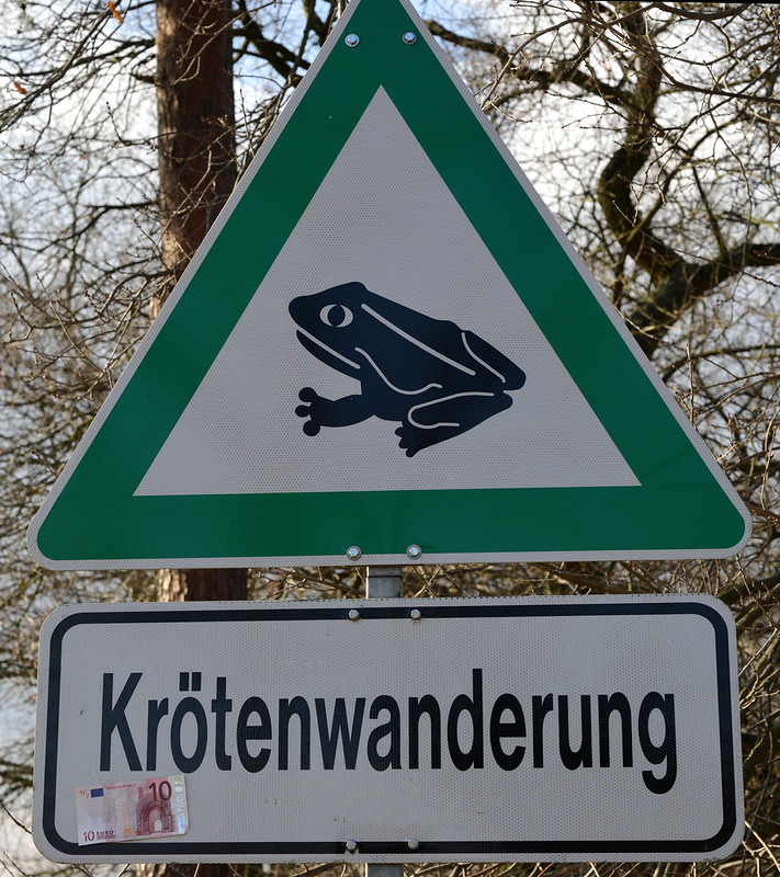 12952855135_42037df886_c.jpg