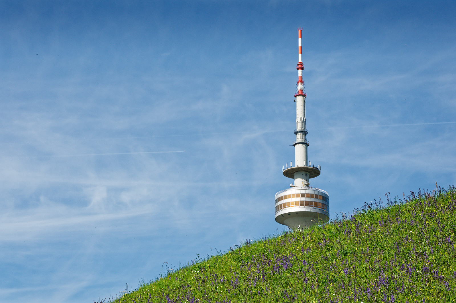 50235874688_58229dfb33_h.jpg