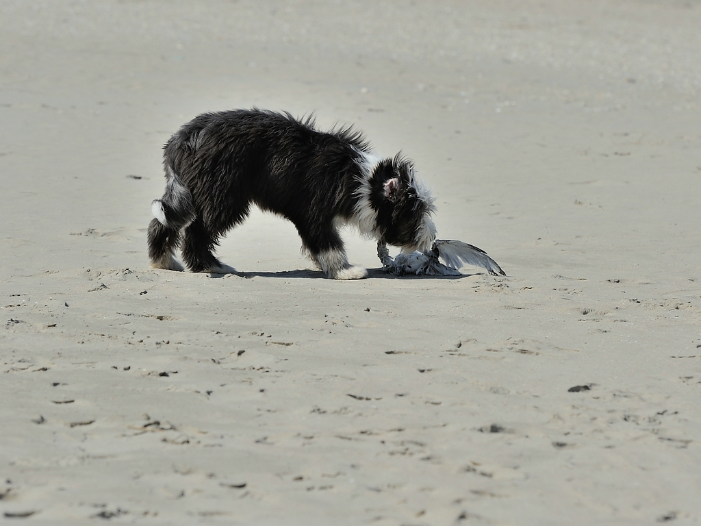 DSC_1226_1.jpg