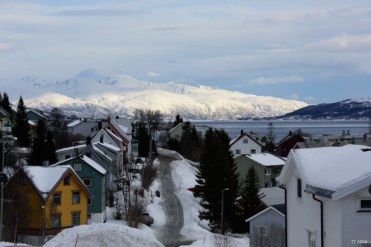 DSC_2967.jpg
