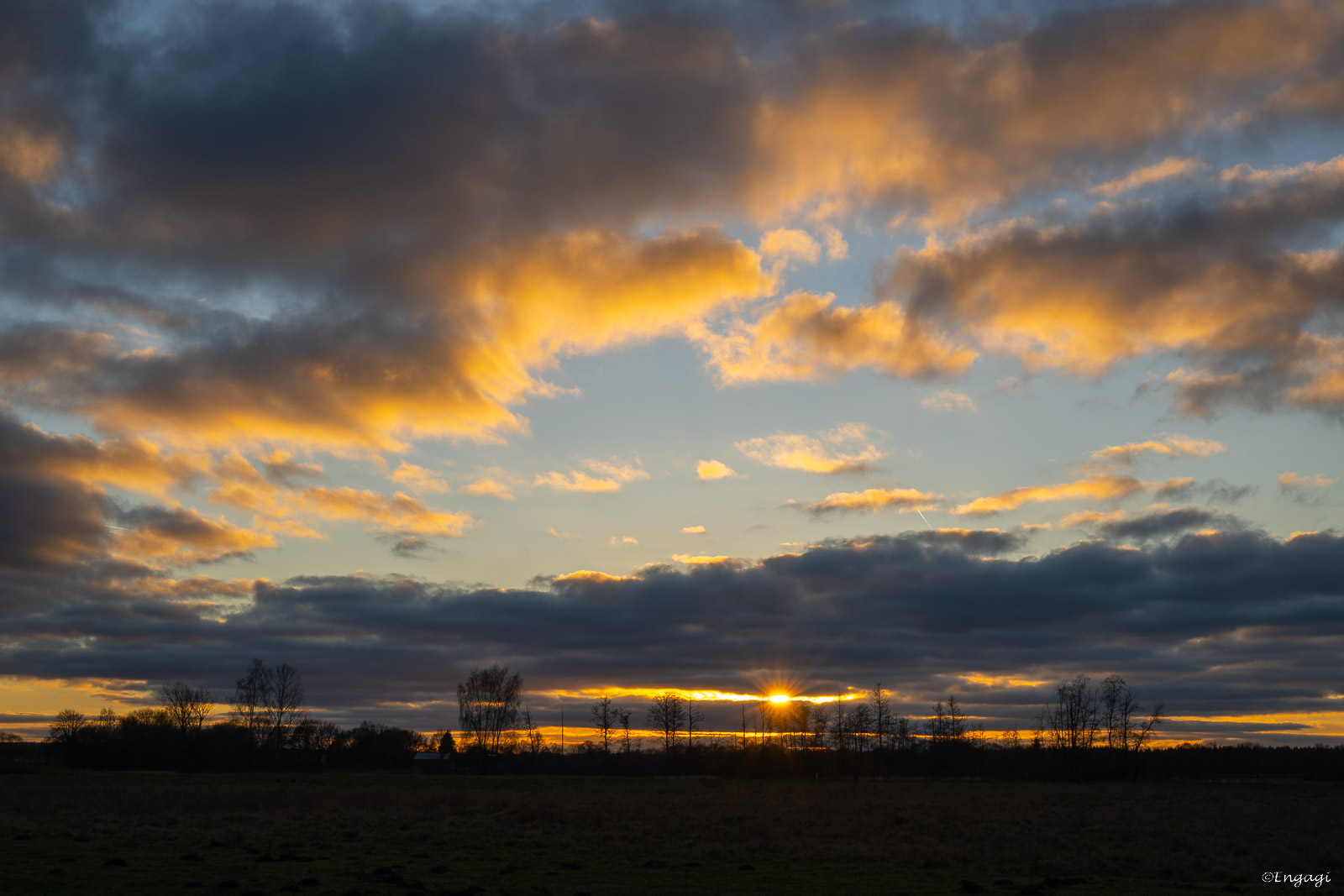 DSC_6028.jpg