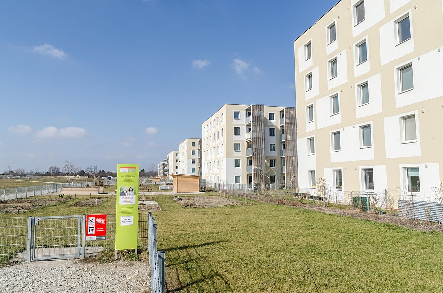 seestadt17_27.jpg