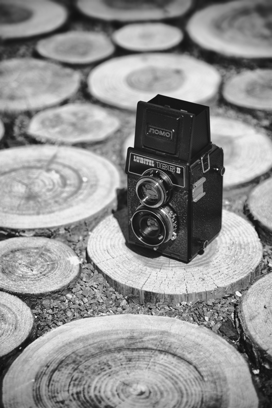 Lubitel166B.jpg