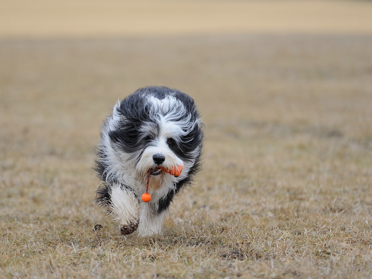 C_DSC_0872.jpg