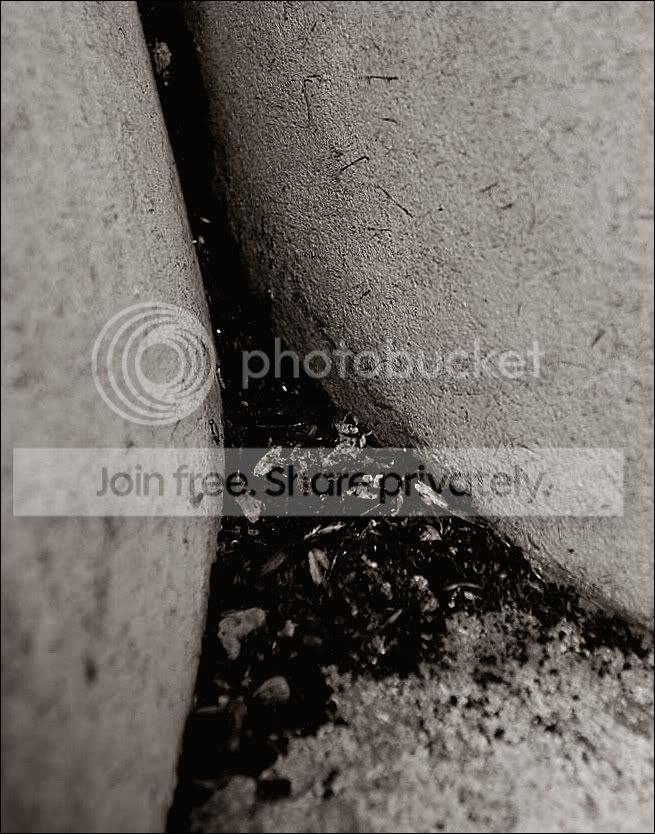 comp_DSC_1593.jpg
