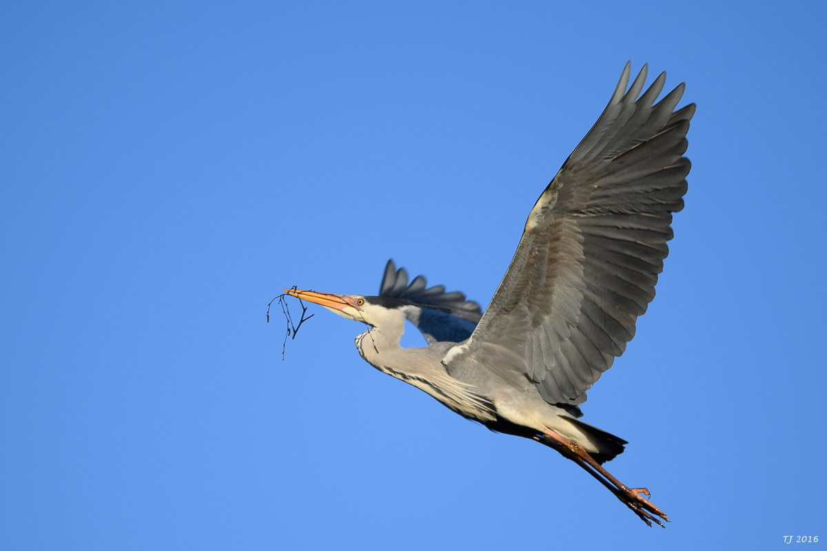 DSC_0319.jpg