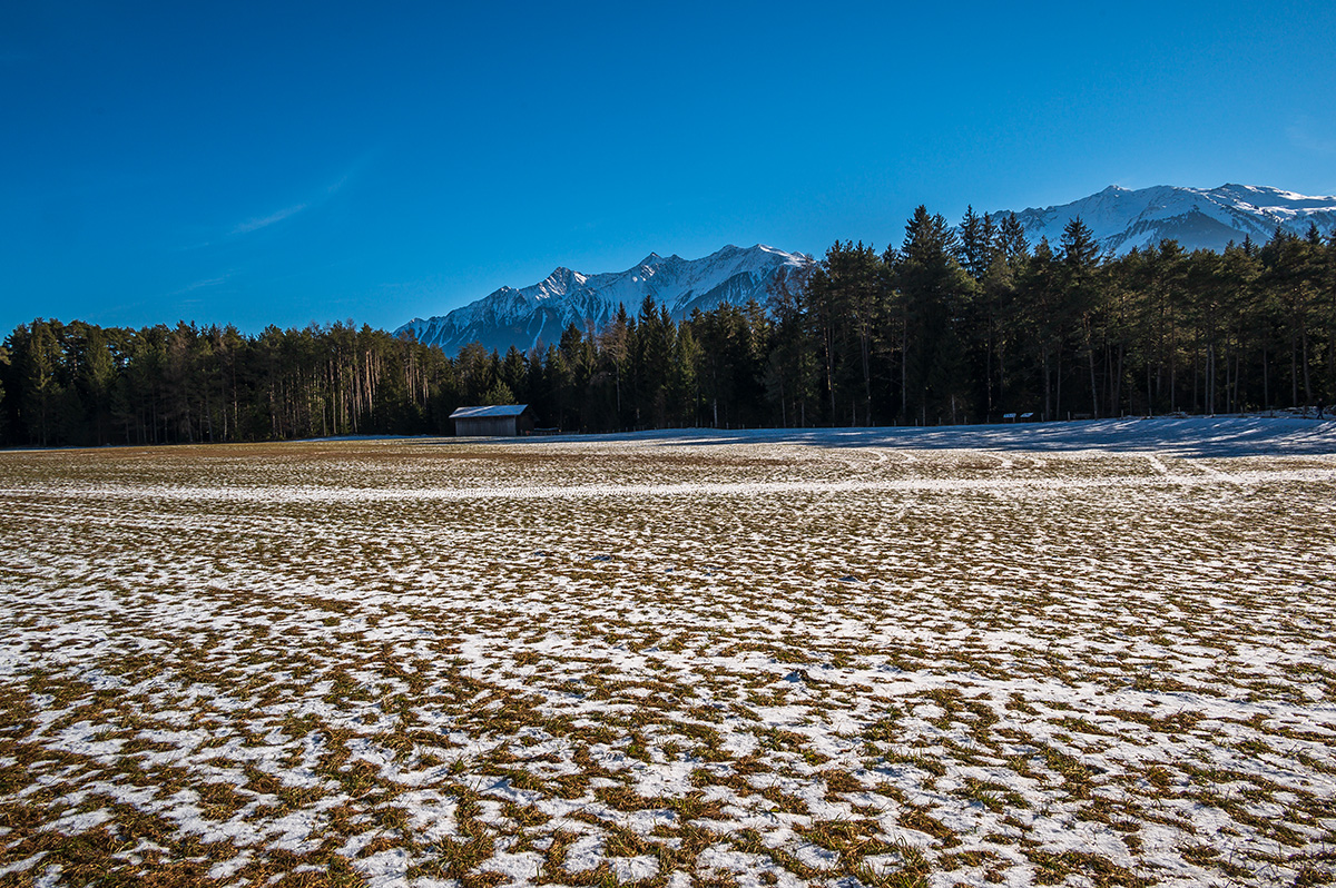 20220113_NZ6_1307NF.jpg