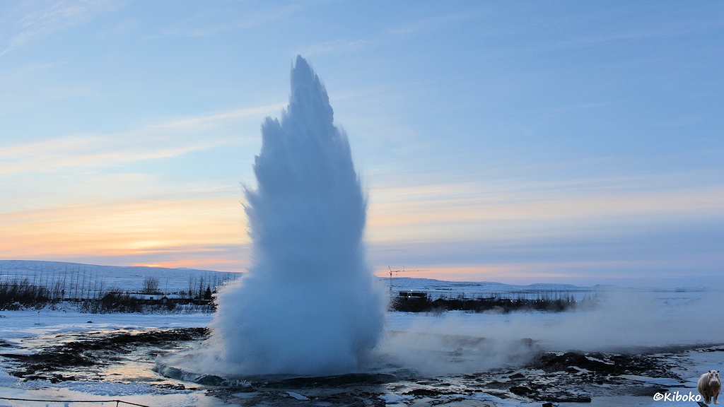 Das Bild zeigt einen Geysir der vor Sonnenaufgang unter klarem Himmel in einer Schneelandschaft in die Höhe spritzt. Wasserdampf wird an den rechten Bildrand gedrückt. Im Hintergrund sind dunkle Gebäude und ein Baukran.