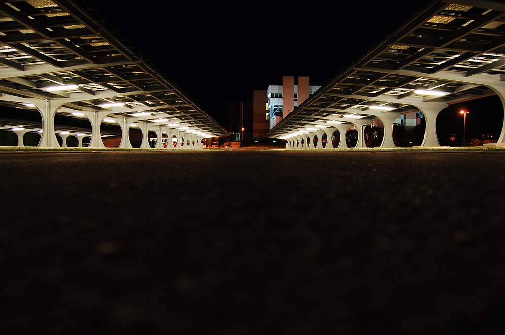5540498387_1030ab1b57_b.jpg