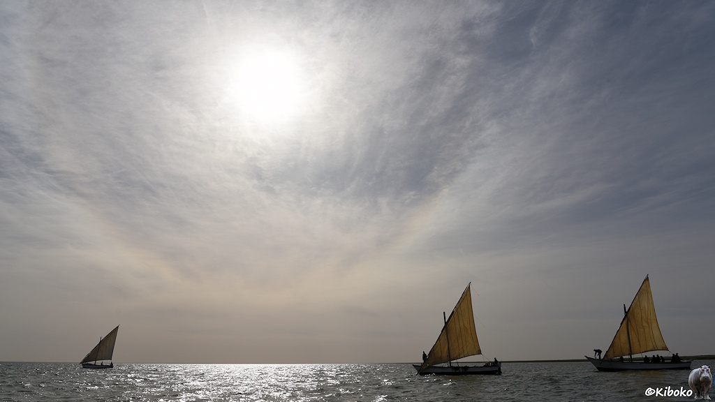 Das Bild zeigt drei kleine Segelboote im Gegenlicht. Die Sonne steht hoch am Himmel und scheint durch dünne Schleierwolken. Die Boote haben einen Mast und ein beigefarbenes, dreieckiges Segel.