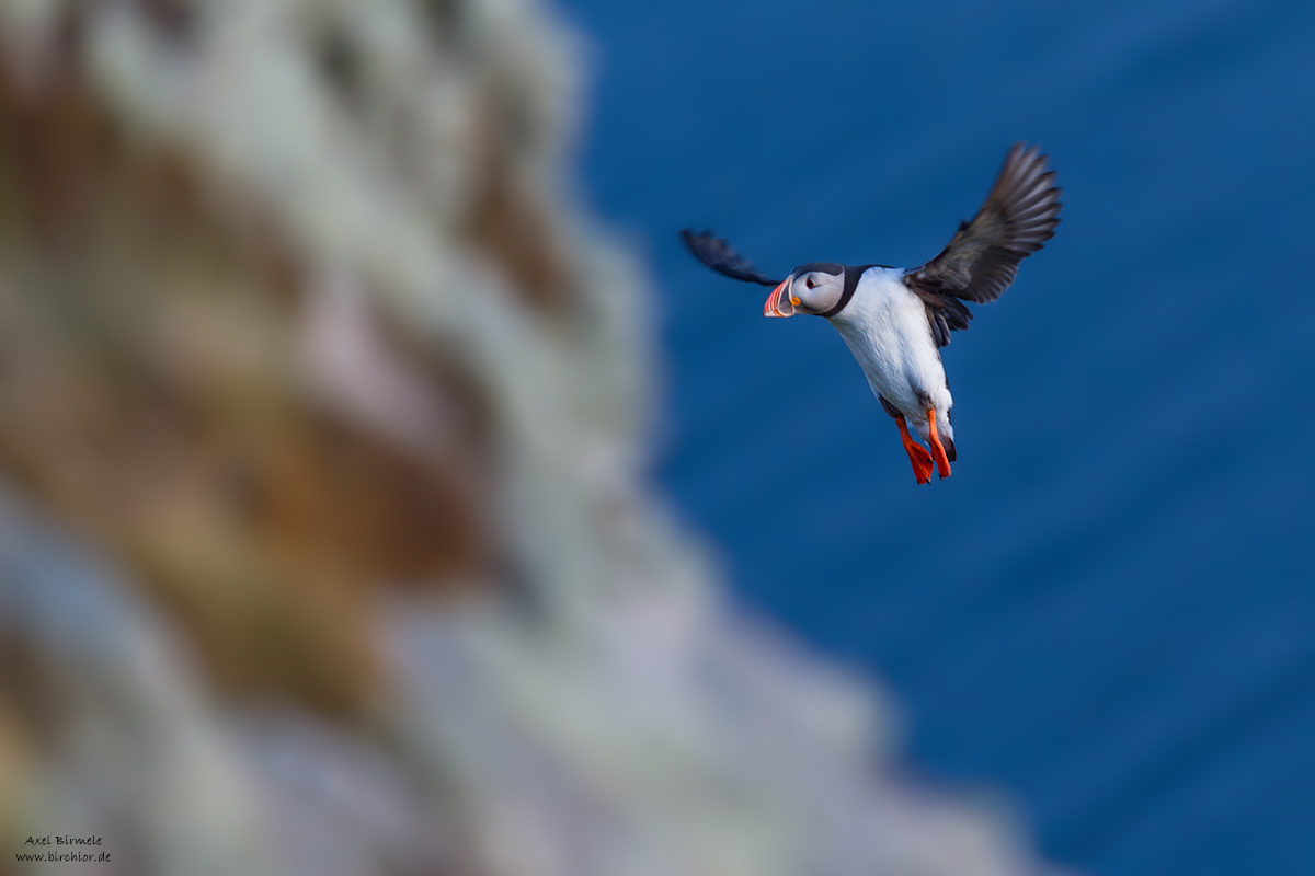 20140512_0089_PS_1200Px.jpg