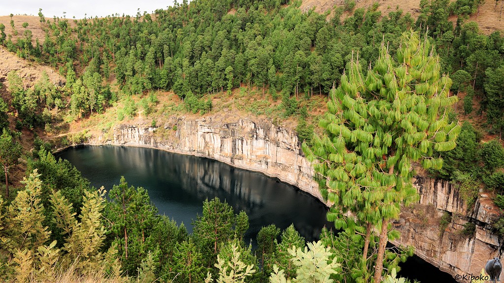 Das Bild zeigt einen dunkelblau schimmernden See. Der See ist mit einer hohen, hellen, senkrechten Felswand umgeben. Daum stehen Nadelbäume mit langen Nadeln. Zwei Bäume stehen im Vordergrund.