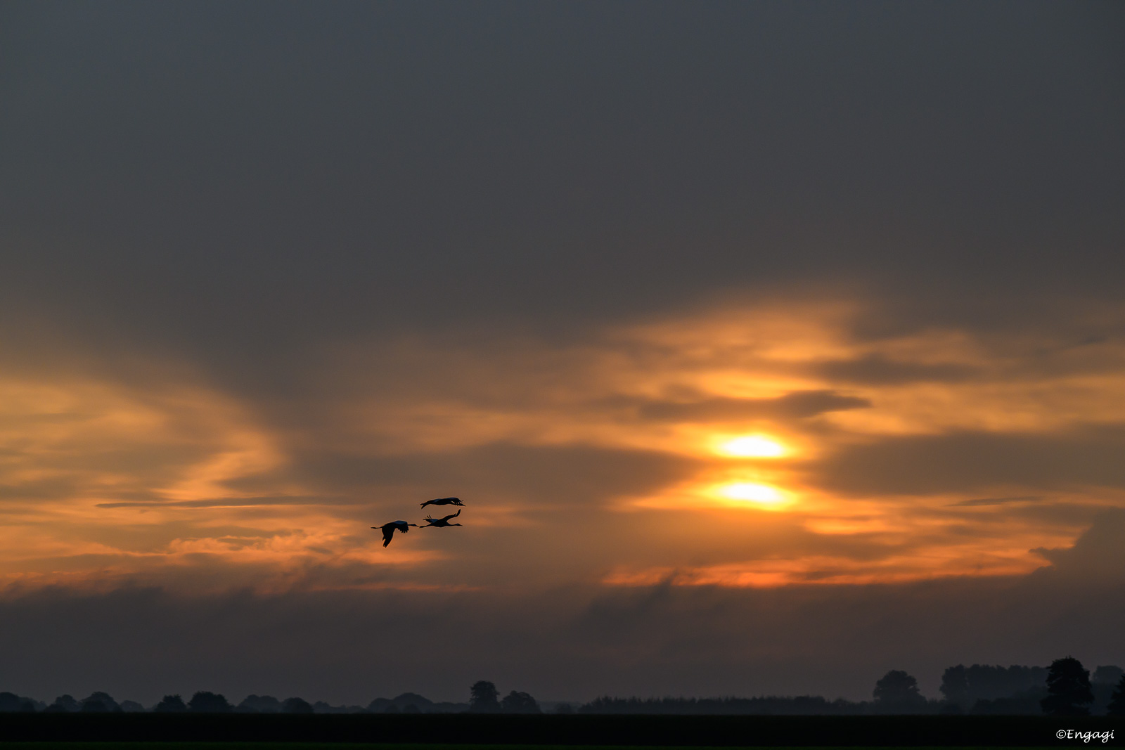 DSC_0480a.jpg