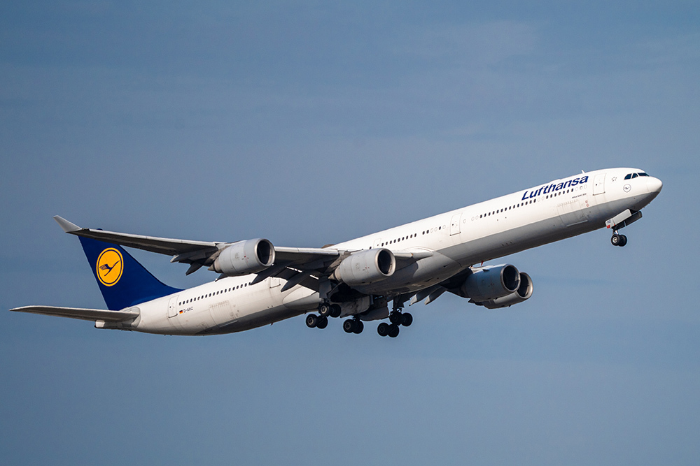 51343693lx.jpg