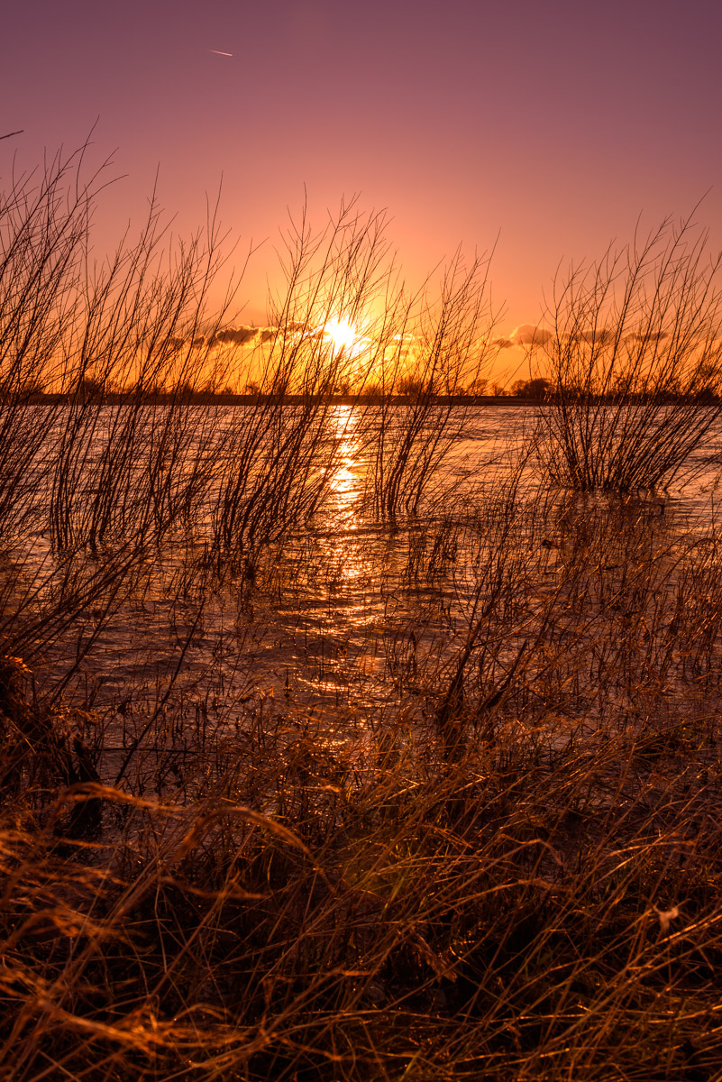 DSC_2251-2.jpg