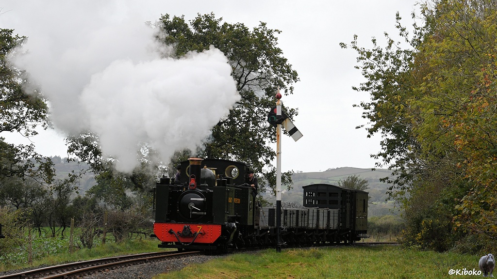 Das Bild zeigt eine grüne Dampflokomotive mit roter Pufferbohle mit einem kurzen Güterzug aus grauen offenen Wagen und zwei dunklen geschlossenen Wagen am Ende zwischen Bäumen. Der Zug passiert ein Signal mit einem weißen Flügel der schräg nach unten zeigt.